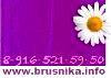 brusnika